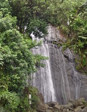 A Luquillo waterfall before Hurricane Maria - trees thrive along the streambank.